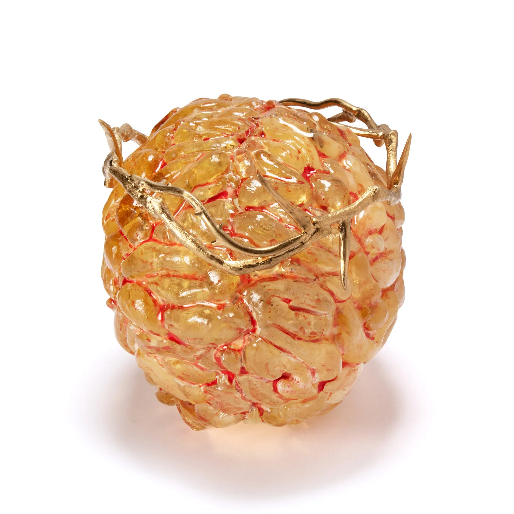 AMBER BRAIN — front view