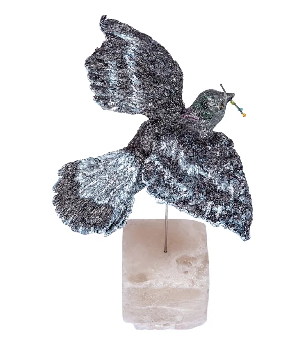 COAL DOVE