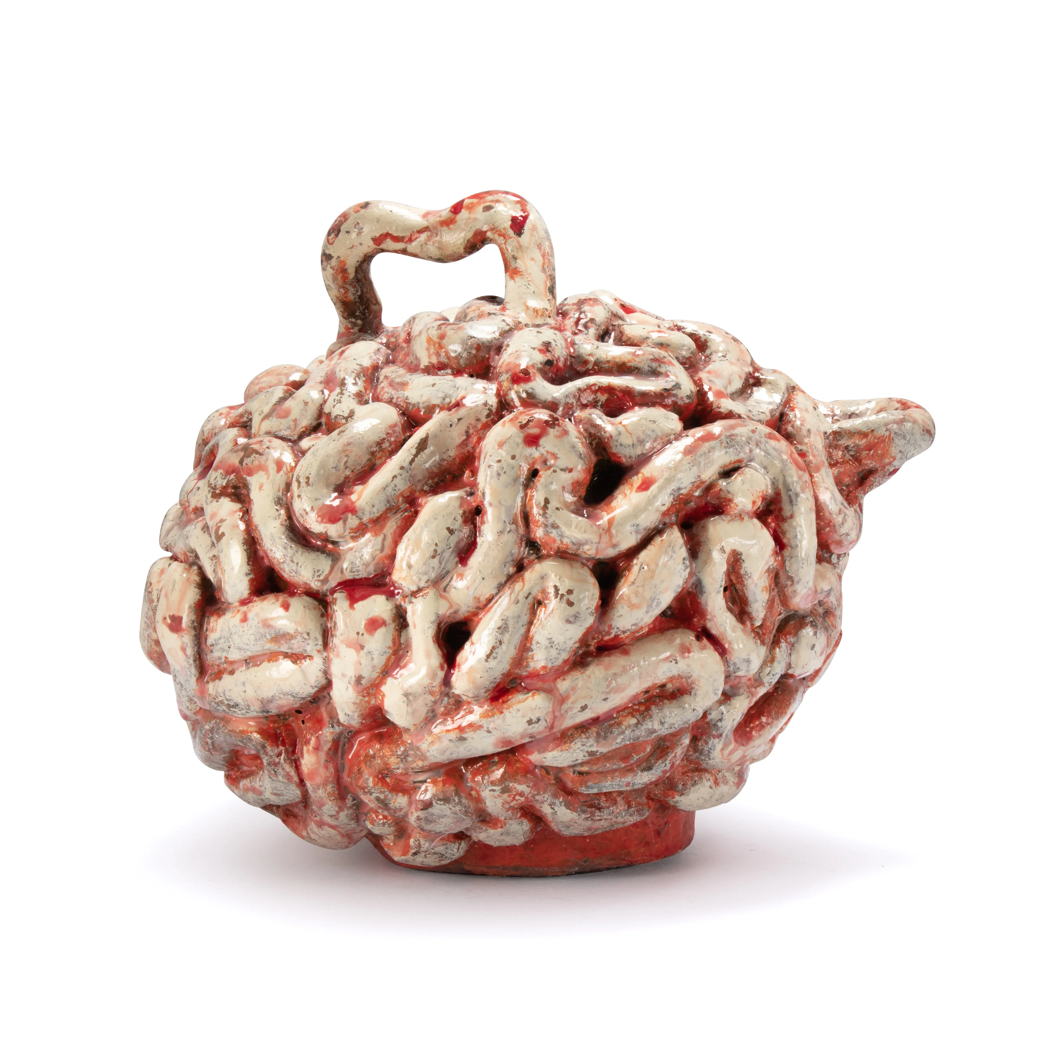 TEAPOT BRAIN — right view