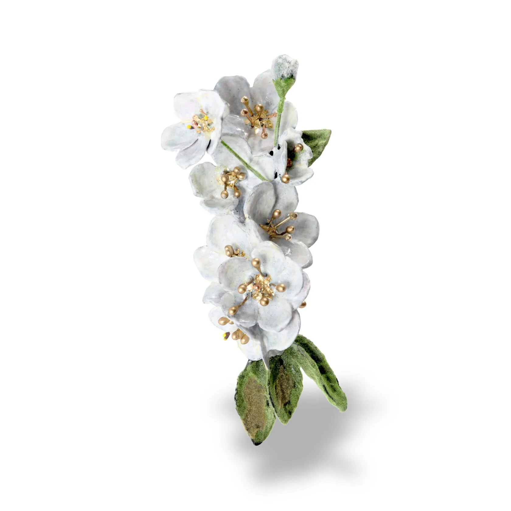 APPLE BLOSSOM