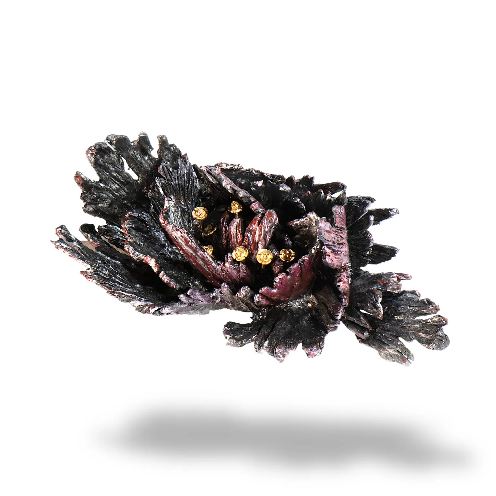 BLACK CHRYSANTHEMUM