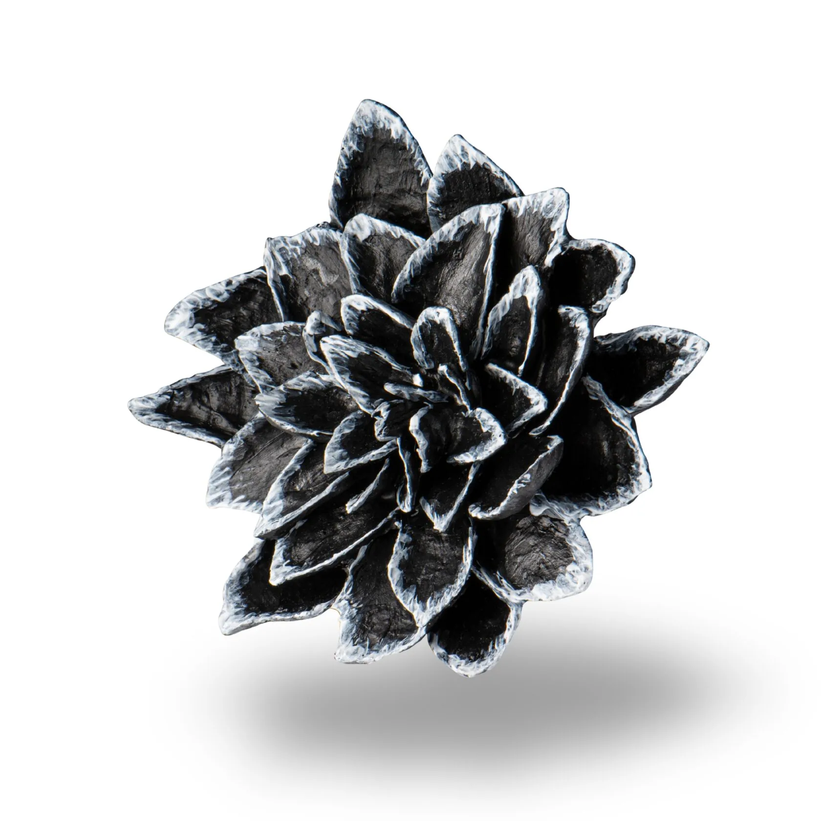 DAHLIA