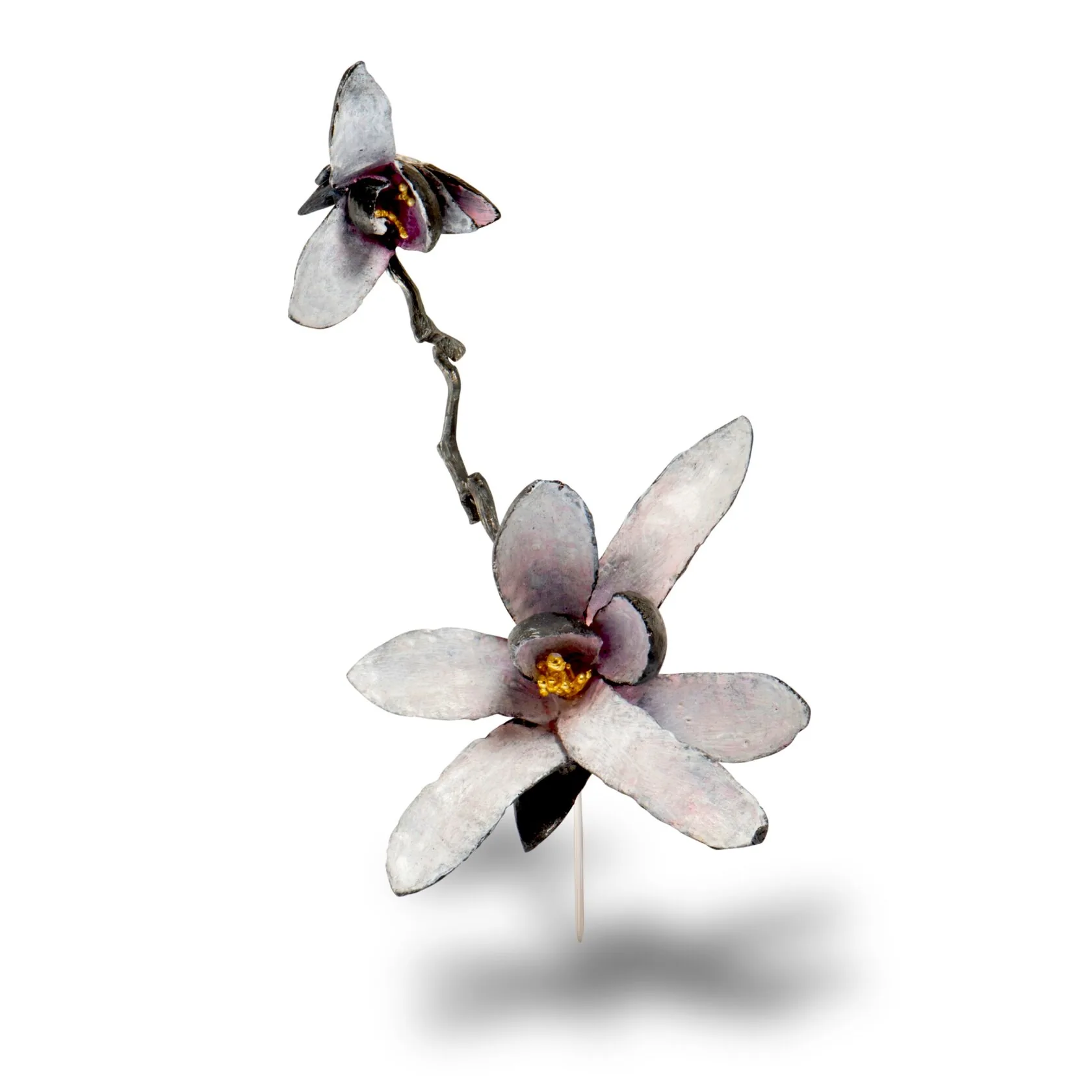 DOUBLE MAGNOLIA