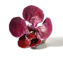 RED ORCHID