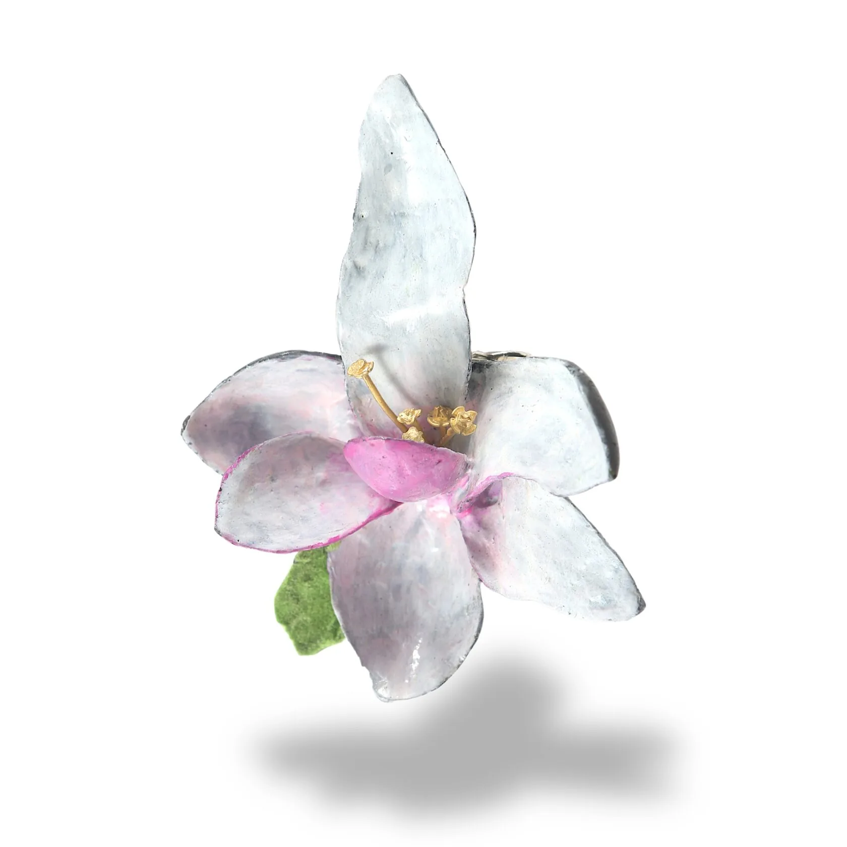 WHITE MAGNOLIA